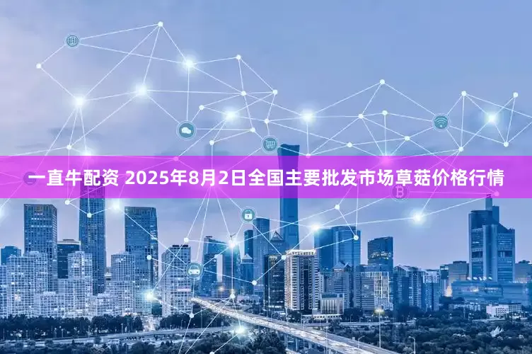 一直牛配资 2025年8月2日全国主要批发市场草菇价格行情