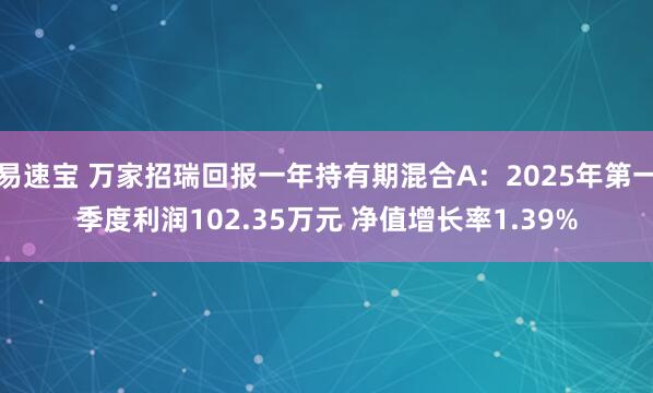 易速宝 万家招瑞回报一年持有期混合A：2025年第一季度利润102.35万元 净值增长率1.39%