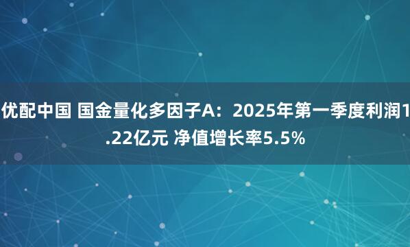 优配中国 国金量化多因子A：2025年第一季度利润1.22亿元 净值增长率5.5%