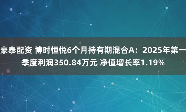 豪泰配资 博时恒悦6个月持有期混合A：2025年第一季度利润350.84万元 净值增长率1.19%