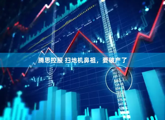 腾思控股 扫地机鼻祖，要破产了