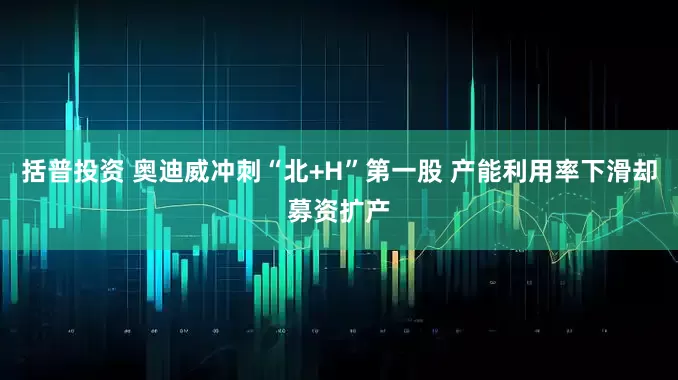 括普投资 奥迪威冲刺“北+H”第一股 产能利用率下滑却募资扩产