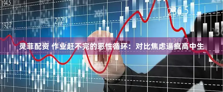 灵菲配资 作业赶不完的恶性循环：对比焦虑逼疯高中生