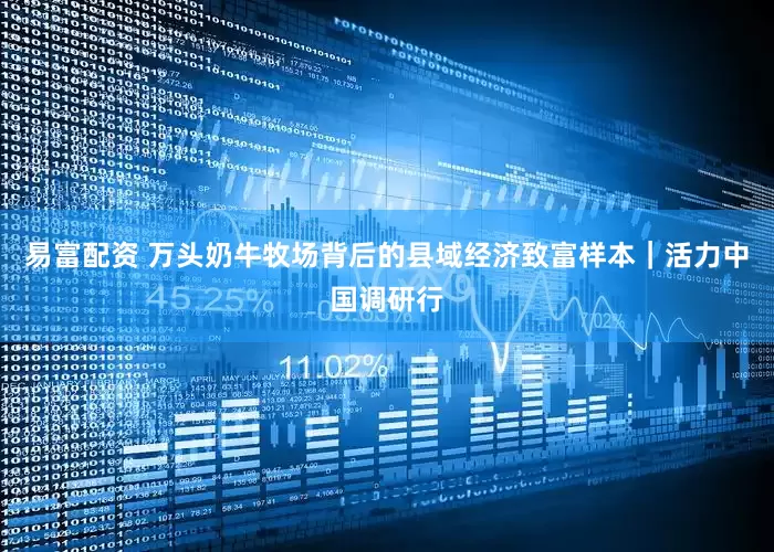 易富配资 万头奶牛牧场背后的县域经济致富样本｜活力中国调研行